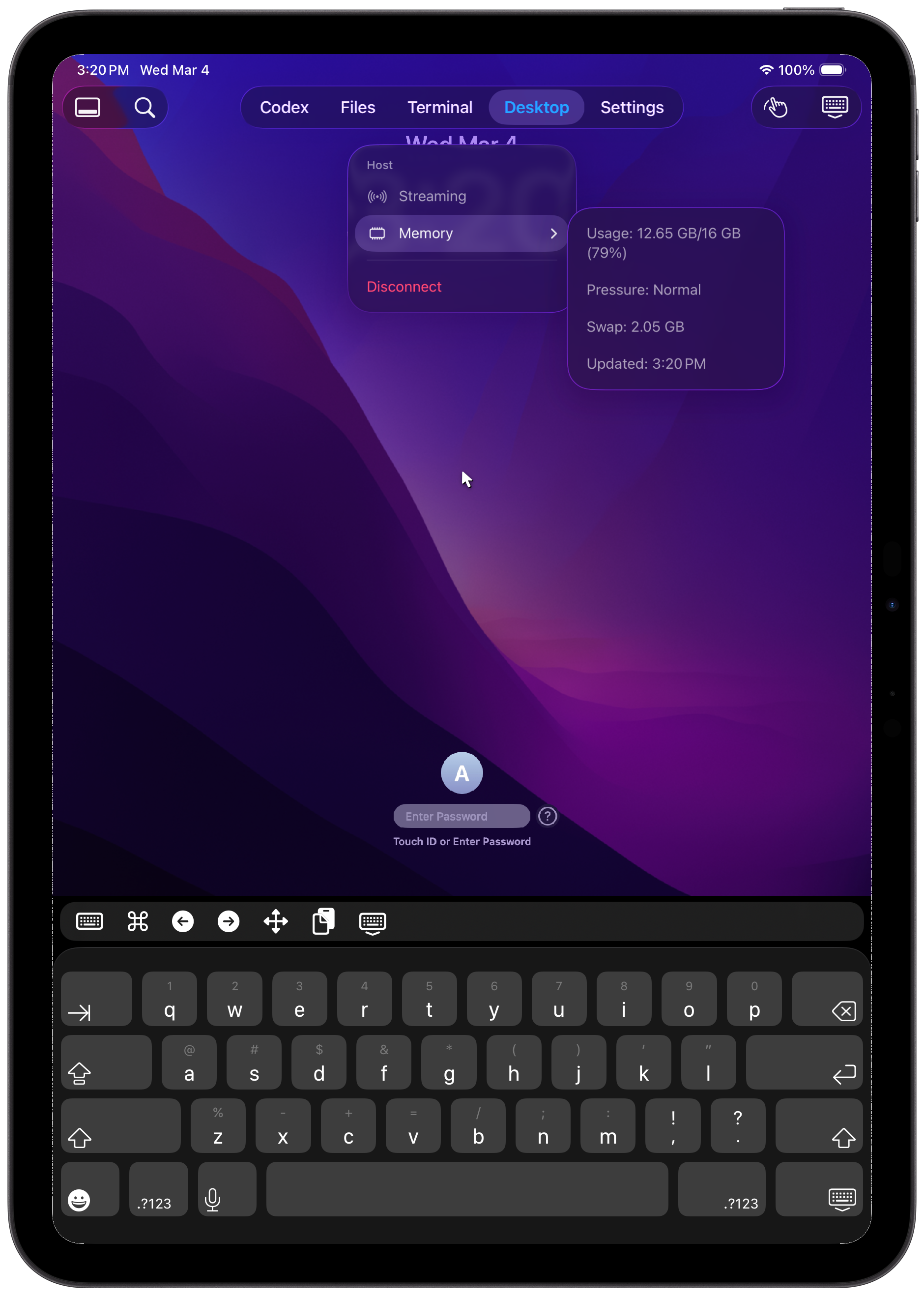 Remote desktop view on iPad